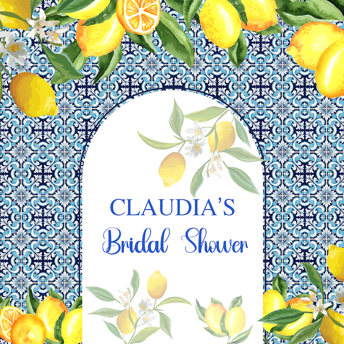 Amalfi Coast Bridal Shower Party Fabric Backdrop