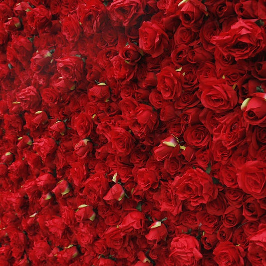 Cloth Curtain Silk Red Rose Flower Wall For Birthday Wedding Backdrop Decoration Outdoor Event Party Decor Props
