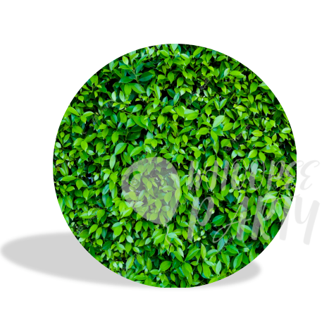 Green Leaves  background Decoration Round Circle Backdrop Cover Plinth Cylinder Pedestal Cover