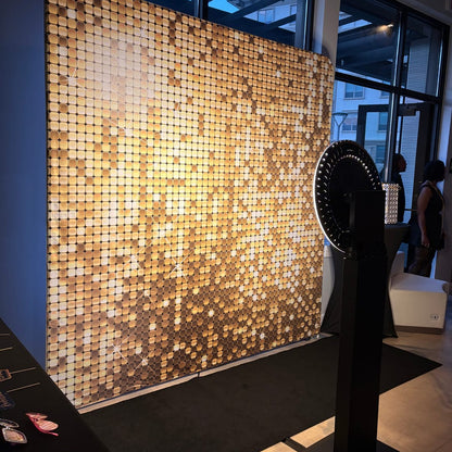 gold sequin pillowcase photo booth backdrop