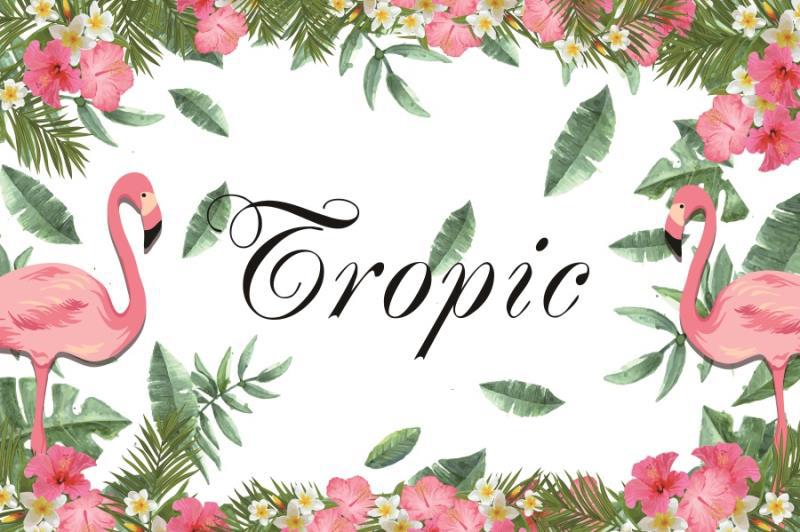 Tropic Flamingo Theme Happy Birthday Backdrop Banner