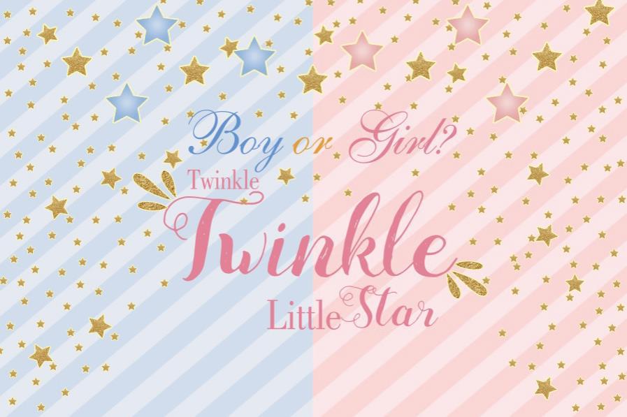 Twinkle Little Boy Or Girl Gender Reveal Backdrop Banner